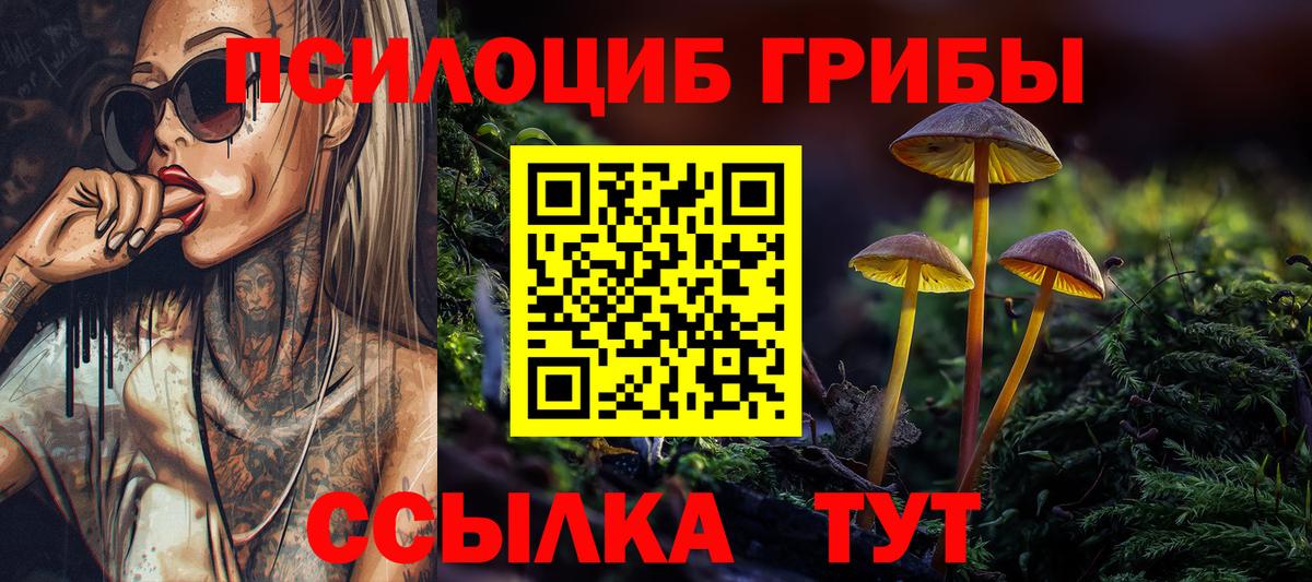 Псилоцибиновые грибы Psilocybe  Псилоцибиновые грибы ЛСД  Александров  Вход с VPN 