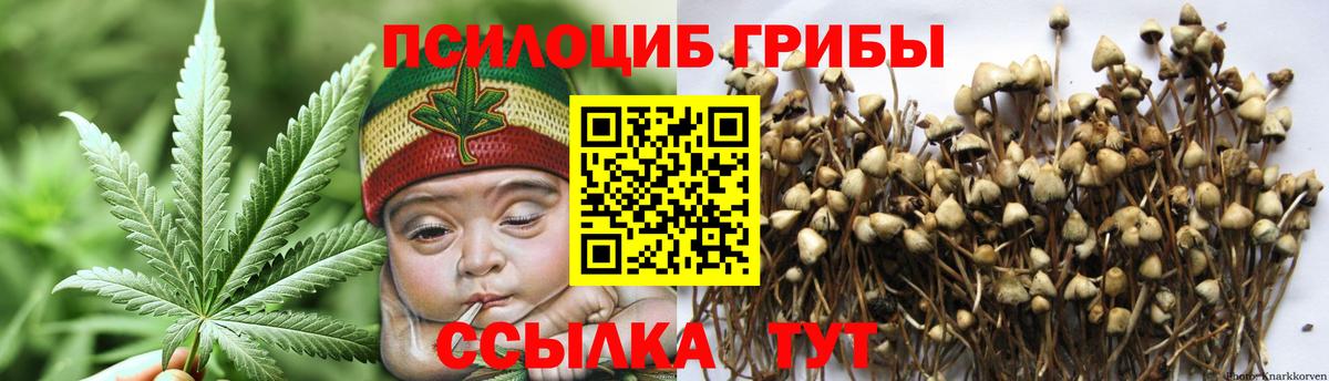 Галлюциногенные грибы MAGIC MUSHROOMS Александров